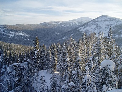 click for enlarge 1000 X 750 258,3 Kb picture