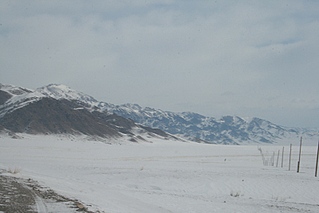 click for enlarge 800 X 533 119,8 Kb picture