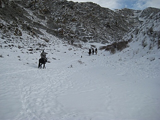 click for enlarge 800 X 600 219,9 Kb picture