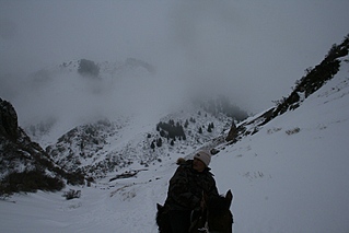 click for enlarge 800 X 533 127,8 Kb picture