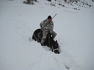 click for enlarge 800 X 600 125,6 Kb picture