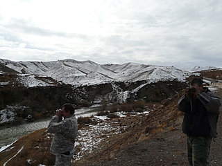 click for enlarge 800 X 600 297,2 Kb picture