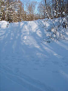 click for enlarge 1920 X 2560 390,6 Kb picture