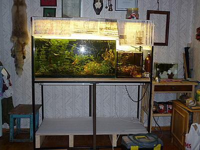 click for enlarge 1000 X 750 319,2 Kb picture