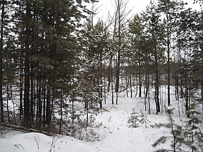 click for enlarge 800 X 600 209,3 Kb picture