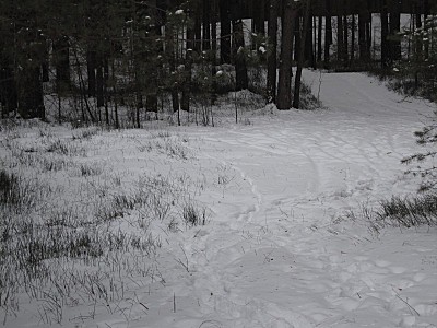 click for enlarge 800 X 600 115,4 Kb picture