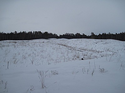 click for enlarge 800 X 600  61,8 Kb picture