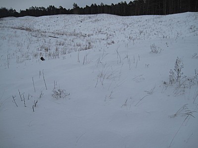 click for enlarge 800 X 600  59,5 Kb picture