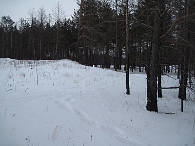 click for enlarge 800 X 600 106,4 Kb picture