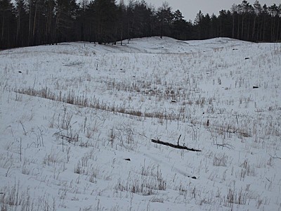 click for enlarge 800 X 600 113,2 Kb picture