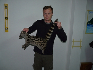 click for enlarge 1024 X 768 368,9 Kb picture