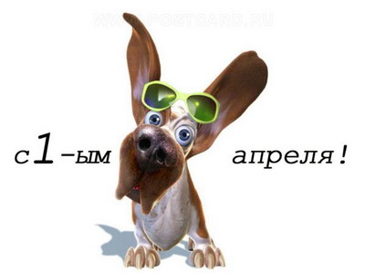 400 x 300