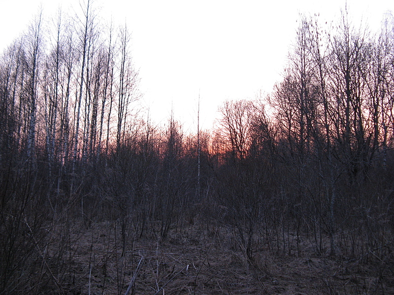 click for enlarge 1920 X 1440 359,5 Kb picture