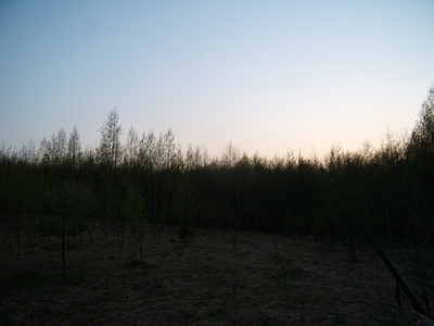click for enlarge 1920 X 1440 674,5 Kb picture