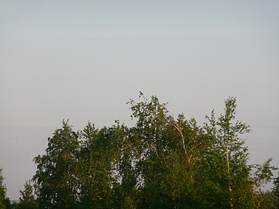 click for enlarge 1000 X 750 470,3 Kb picture
