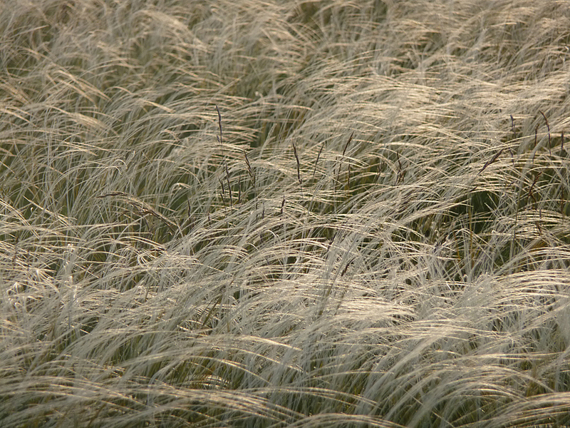 click for enlarge 1000 X 750 718,0 Kb picture