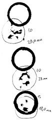 click for enlarge 561 X 1267 70,2 Kb picture