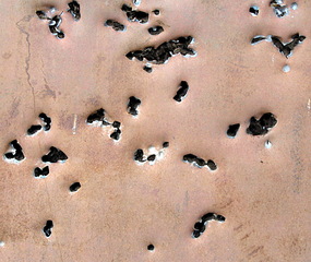 click for enlarge 1919 X 1616 980,8 Kb picture