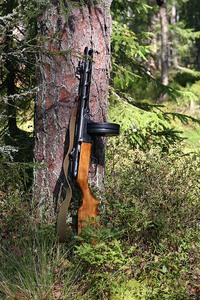 click for enlarge 667 X 1000 214.4 Kb picture