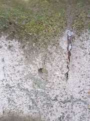 click for enlarge 960 X 1280 148.4 Kb