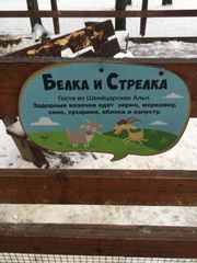 click for enlarge 960 X 1280 117.2 Kb