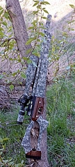 click for enlarge 688 X 1517 380.3 Kb