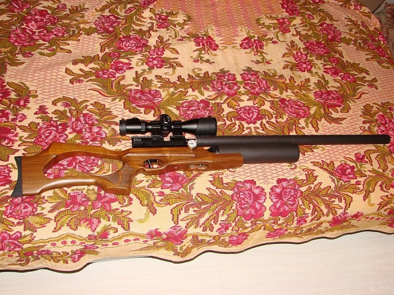 800 x 600