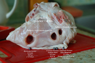 click for enlarge 1504 X 1000 168,3 Kb picture
