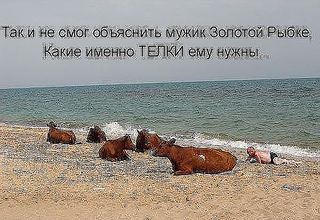 click for enlarge 600 X 413  52.8 Kb picture