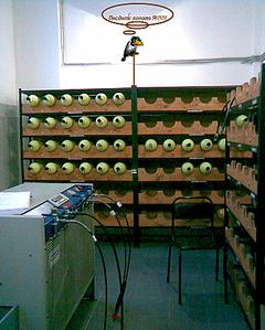click for enlarge 717 X 896 103.2 Kb picture