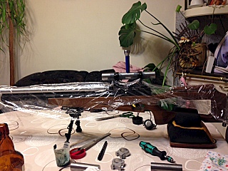 click for enlarge 640 X 480 130.7 Kb picture