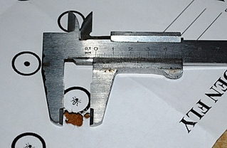 click for enlarge 800 X 521 277.3 Kb picture