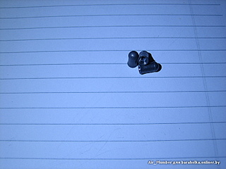 click for enlarge 800 X 600 126.3 Kb picture