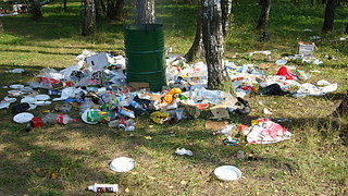 click for enlarge 1920 X 1080 867.5 Kb picture