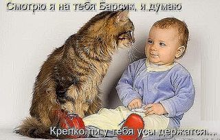 click for enlarge 600 X 381  48.2 Kb picture