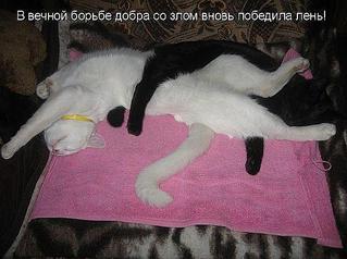 click for enlarge 623 X 465 49.2 Kb picture