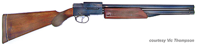 click for enlarge 600 X 136 53,5 Kb picture