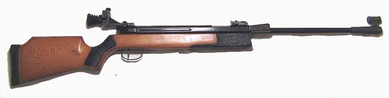 800 x 202