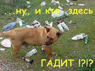 click for enlarge 604 X 453 115.0 Kb
