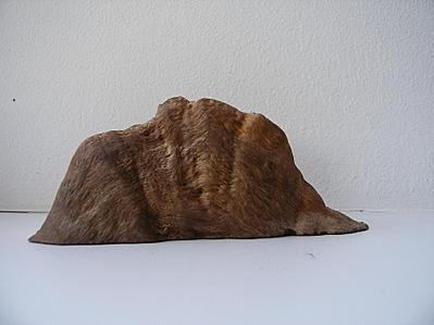 click for 
enlarge 922 X 692  57,2 Kb picture