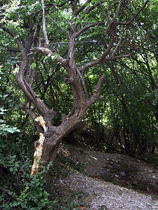 click for 
enlarge 862 X 1149 282,8 Kb picture