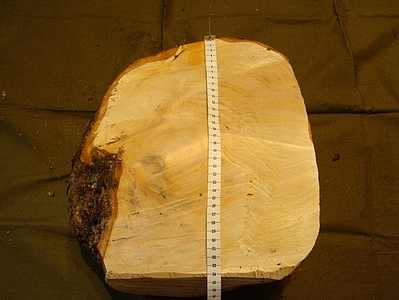 click for 
enlarge 614 X 461 211,4 Kb picture