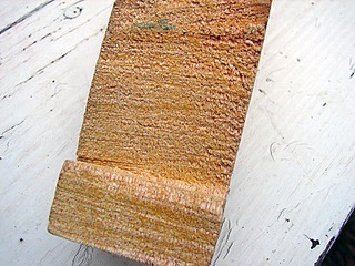 click for 
enlarge 800 X 600 123,1 Kb picture