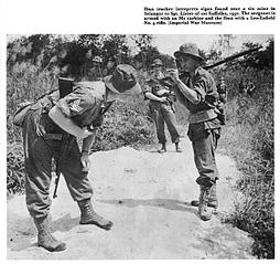 click for enlarge 737 X 694  92,5 Kb picture