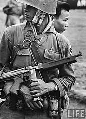 click for enlarge 521 X 720  47,4 Kb picture