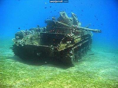 click for enlarge 500 X 374 29,1 Kb picture