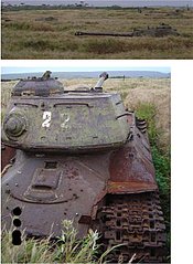 click for enlarge 467 X 640  66,7 Kb picture