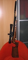 click for enlarge 677 X 1419 164,4 Kb picture