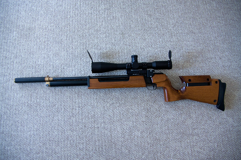 800 x 534