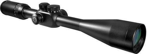 500 x 186